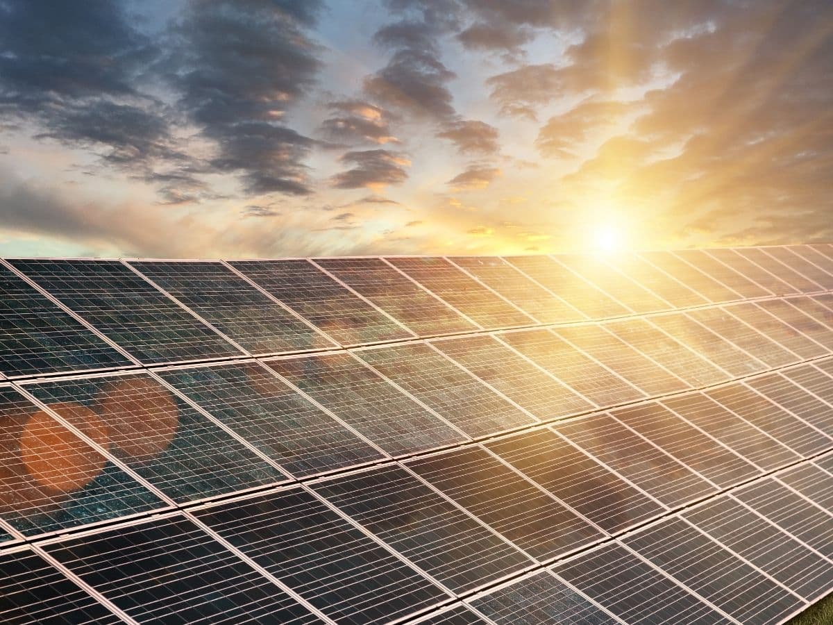 Solar panel array at sunrise